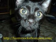 Hunter Socks Thompson Home